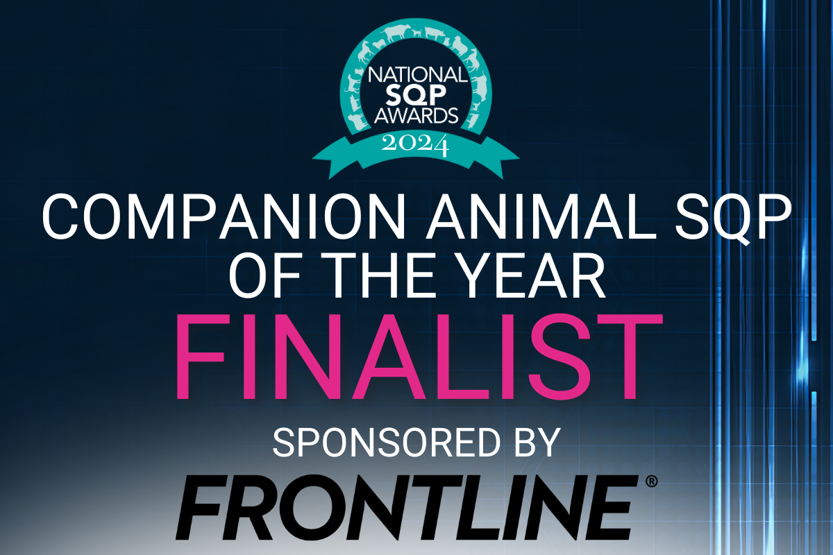 Companion Animal of the Year Finalist