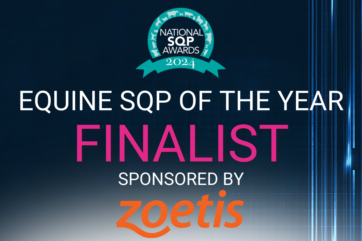 Equine SQP of the Year Finalist